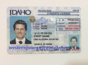 Ownership of fake id and heavy drinks.